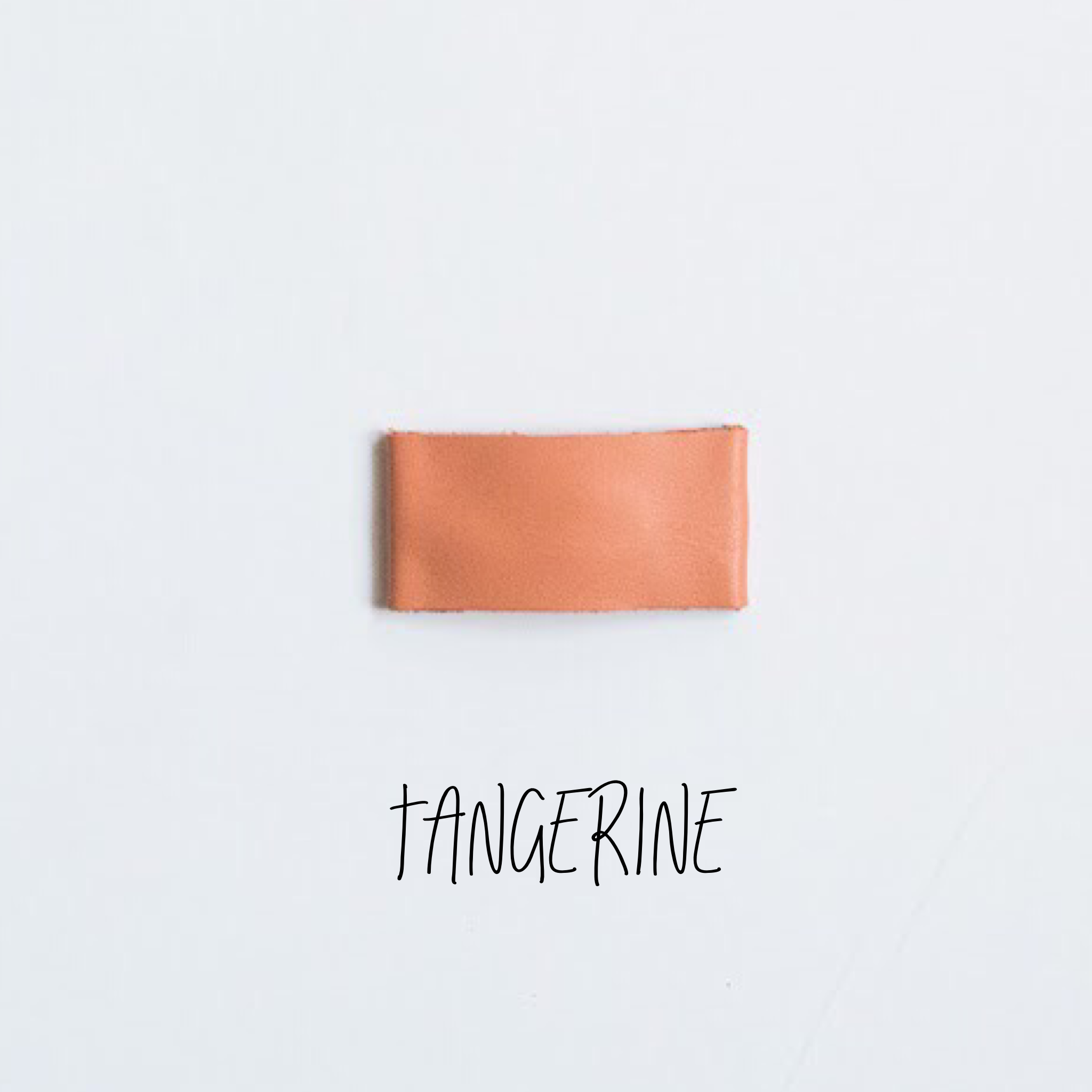 Tangerine Leather Snap Clip