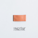 Tangerine Leather Snap Clip